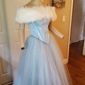 Handmade Adult Cinderella Gown Costume Size 8 - 10